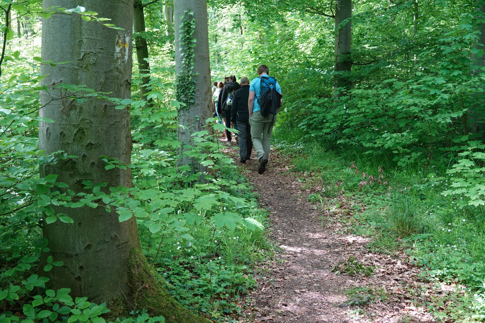 Meditatives Wandern